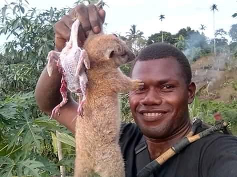 A man holding up a Cuscus, similar to possum